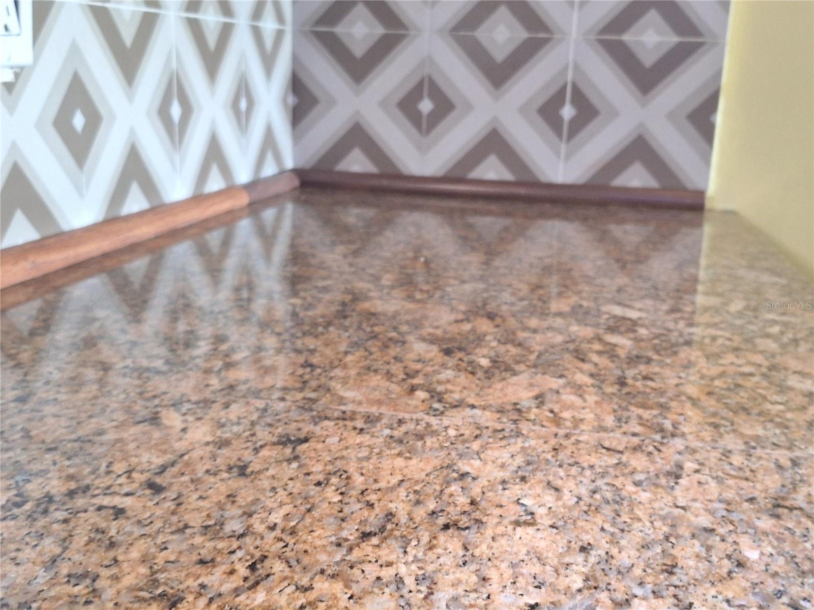 Image 16 of 75 For 4518 Garnet Drive 202