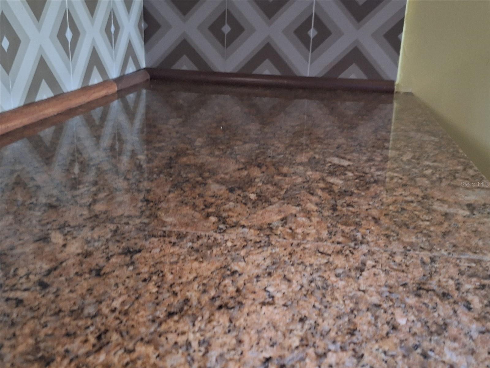 Image 19 of 75 For 4518 Garnet Drive 202