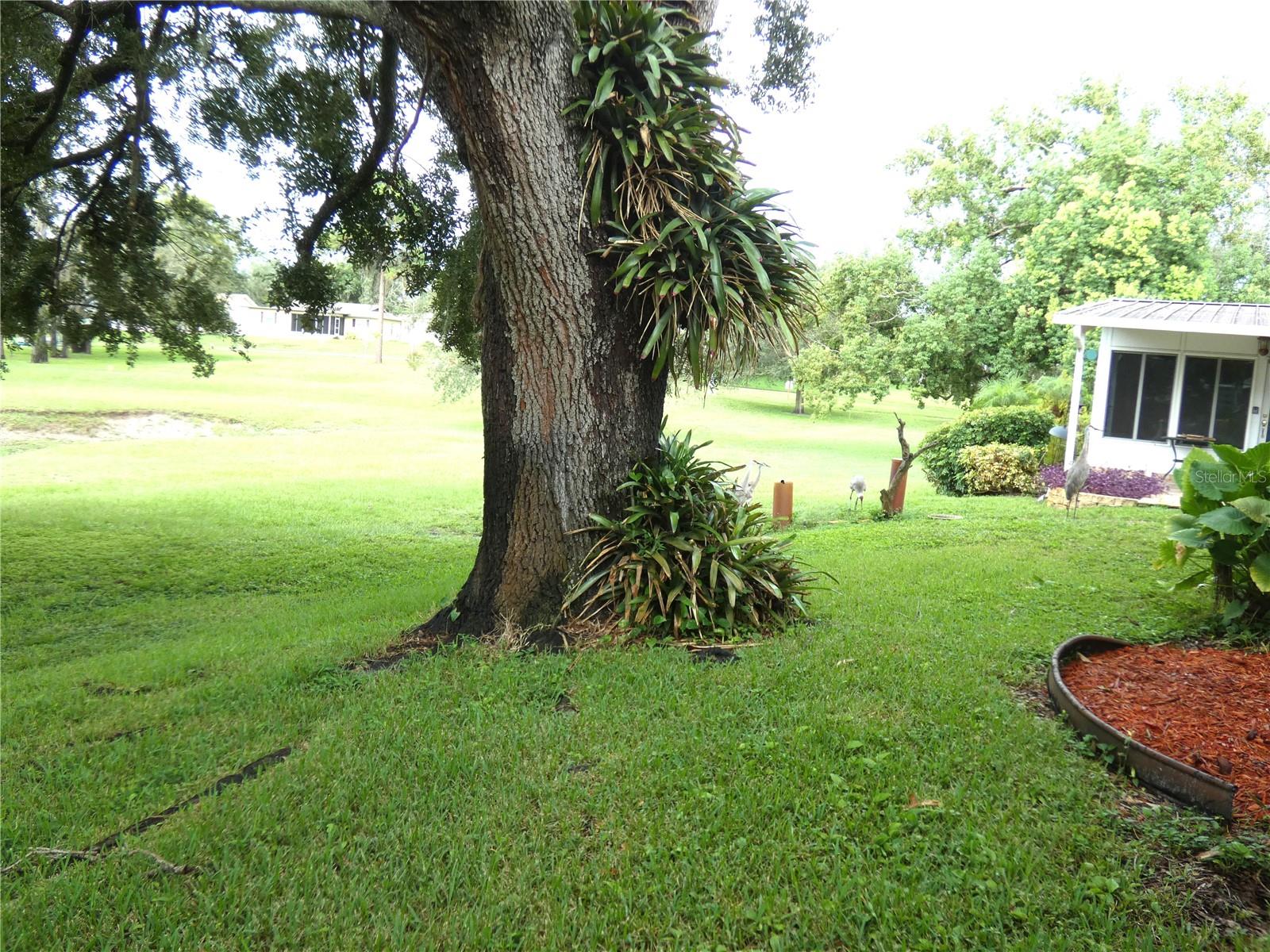 Image 6 of 39 For 8140 San Felipe Court