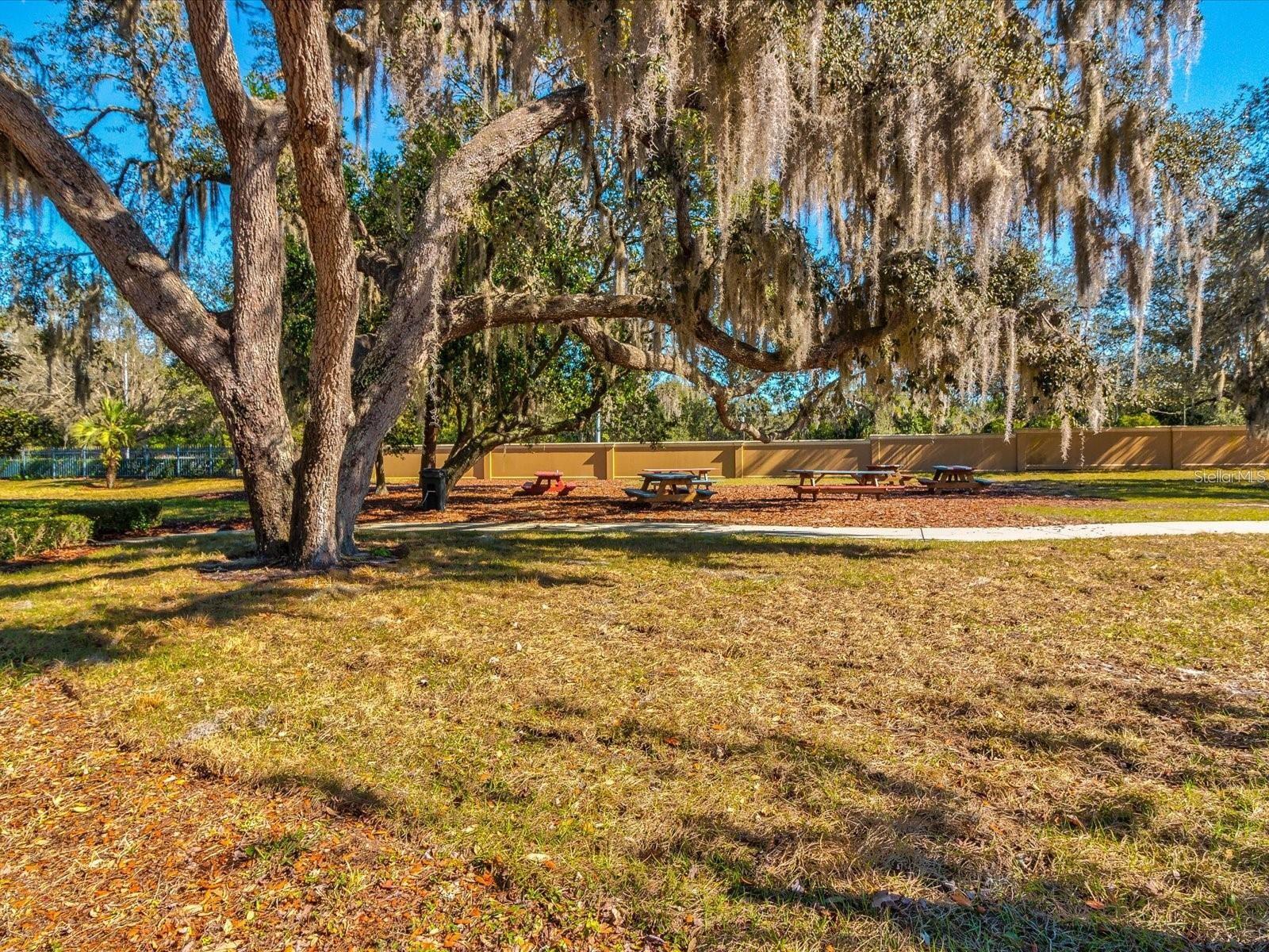 Image 79 of 85 For 8453 Creedmoor Lane