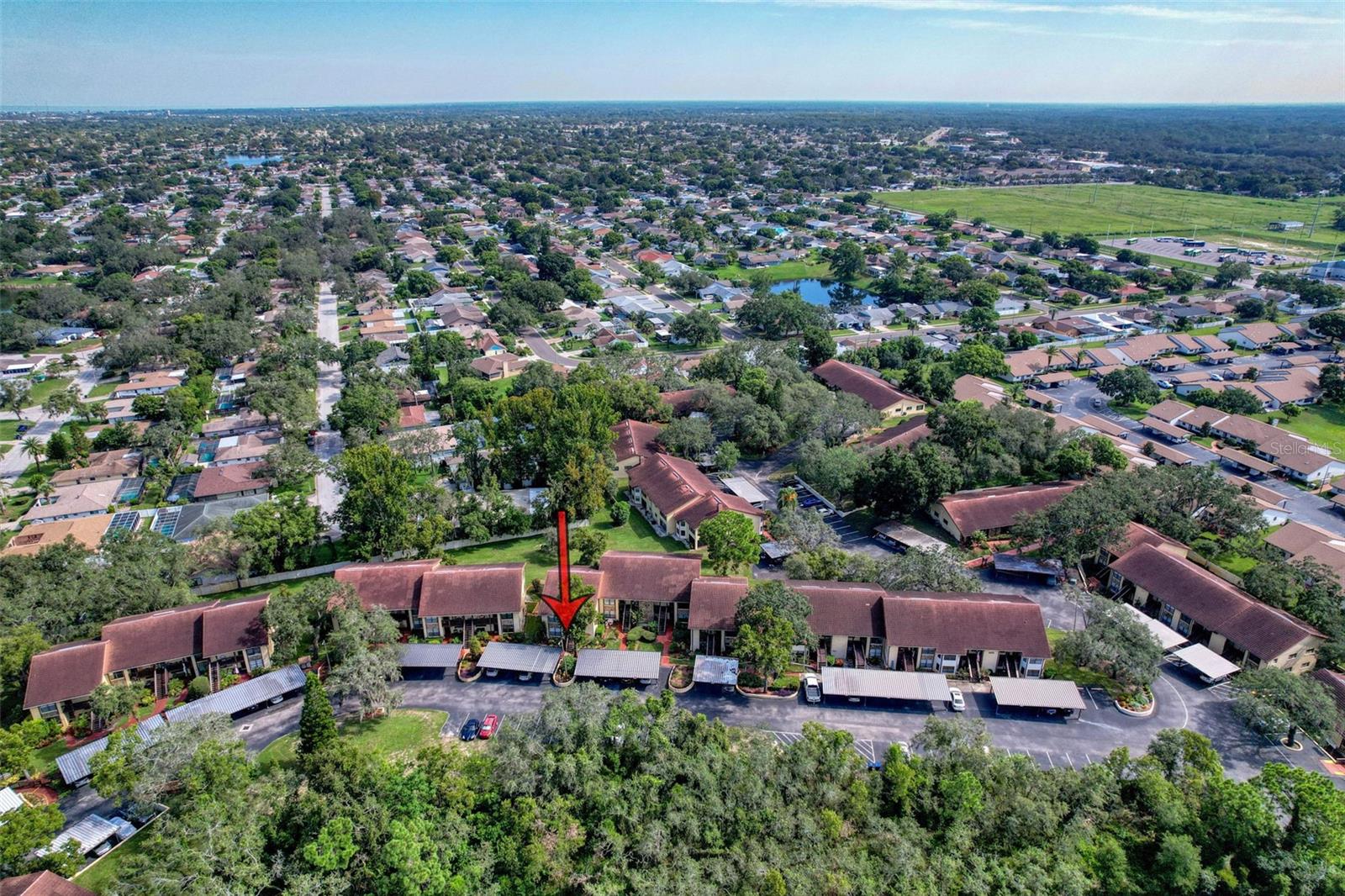 Listing photo id 31 for 7725 Forest Trail