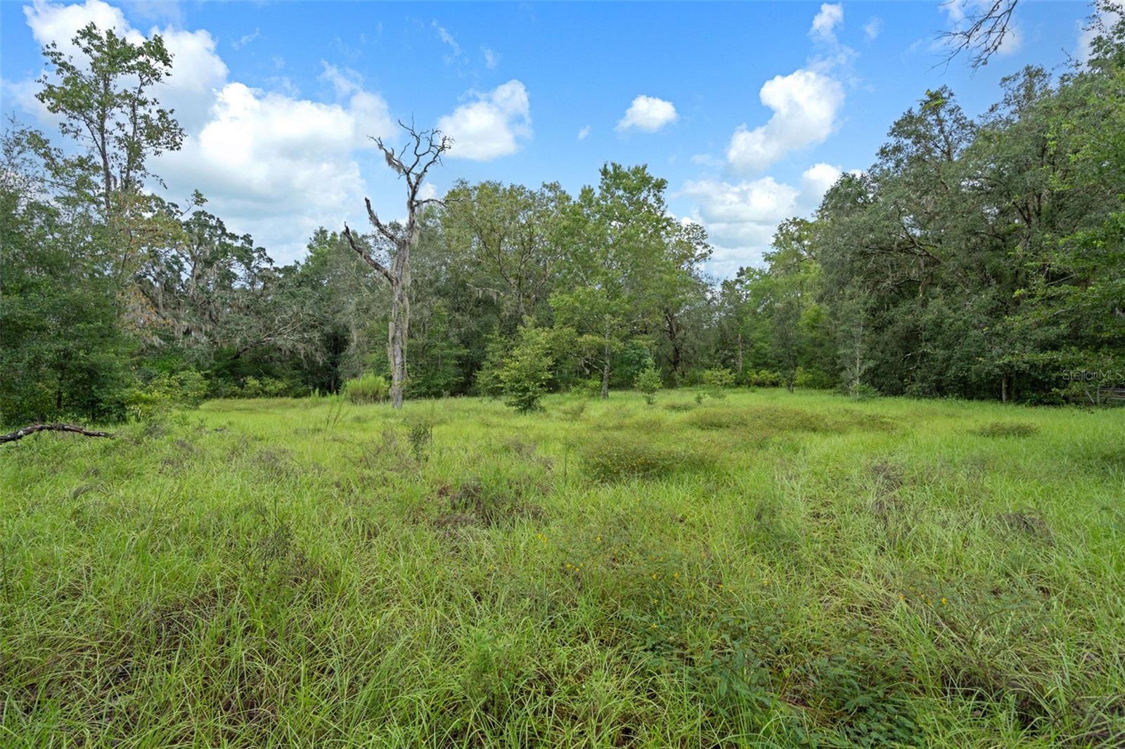 Image 42 of 61 For 27167 Popiel Road