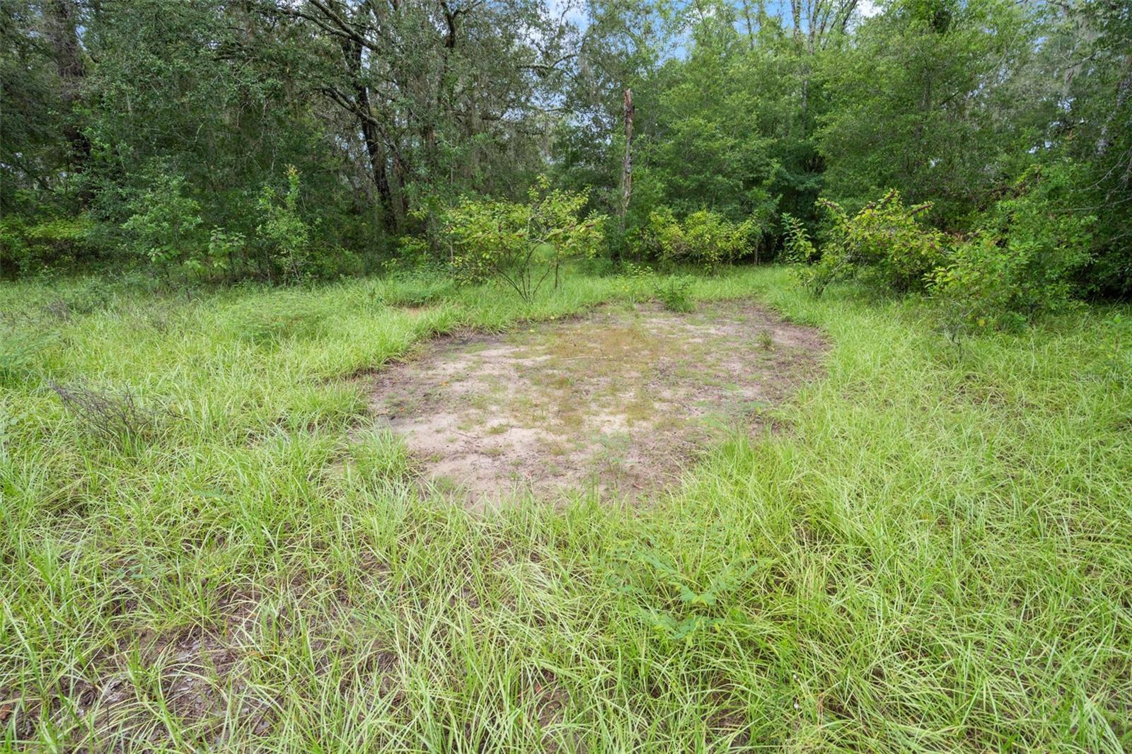 Image 44 of 61 For 27167 Popiel Road
