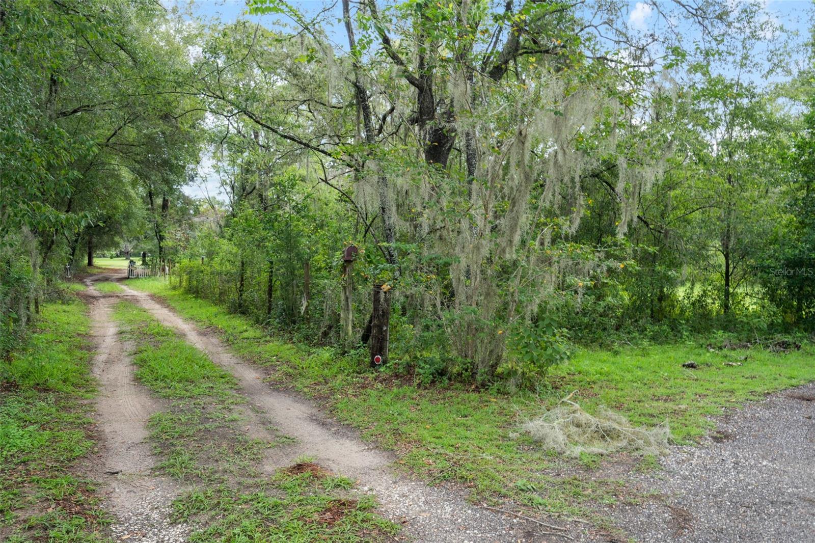 Image 45 of 61 For 27167 Popiel Road