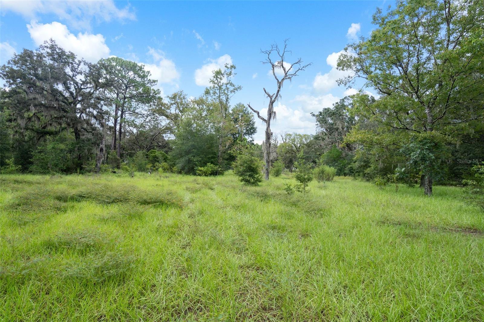 Image 46 of 61 For 27167 Popiel Road