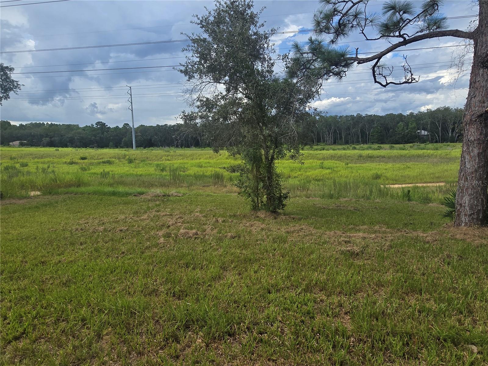 Listing photo id 17 for 2885 Redgate Drive