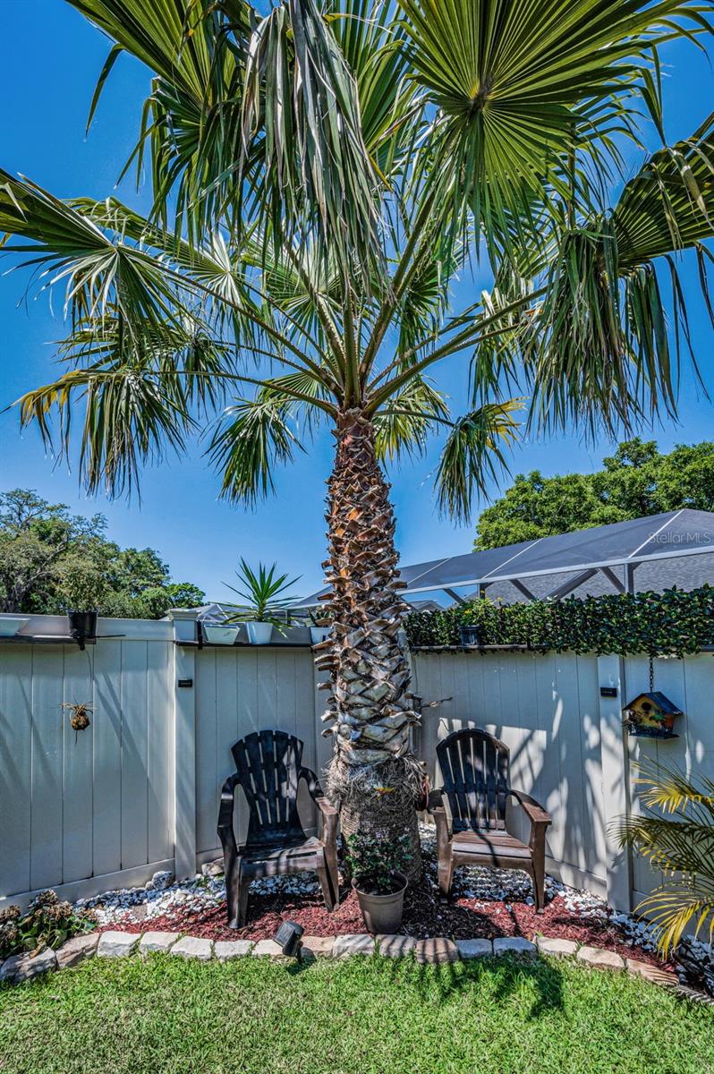 Image 60 of 67 For 9525 Via Segovia