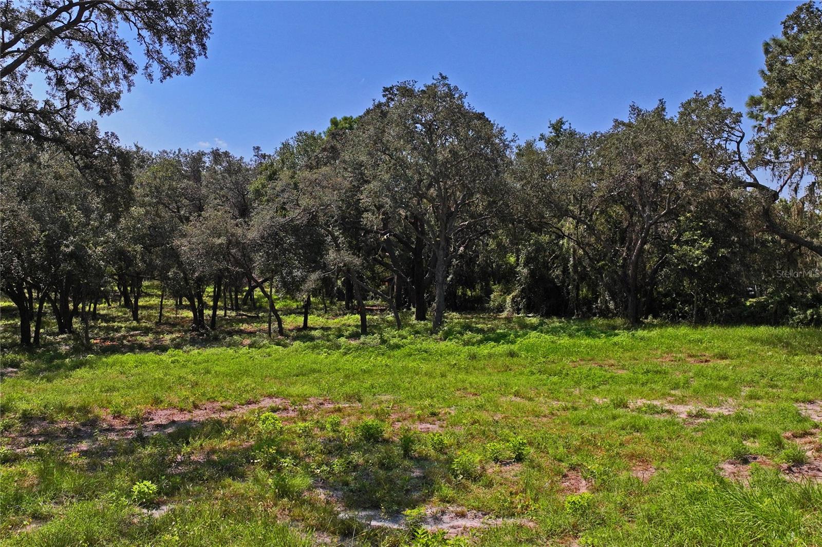 Image 2 of 11 For 16900 Akins Drive