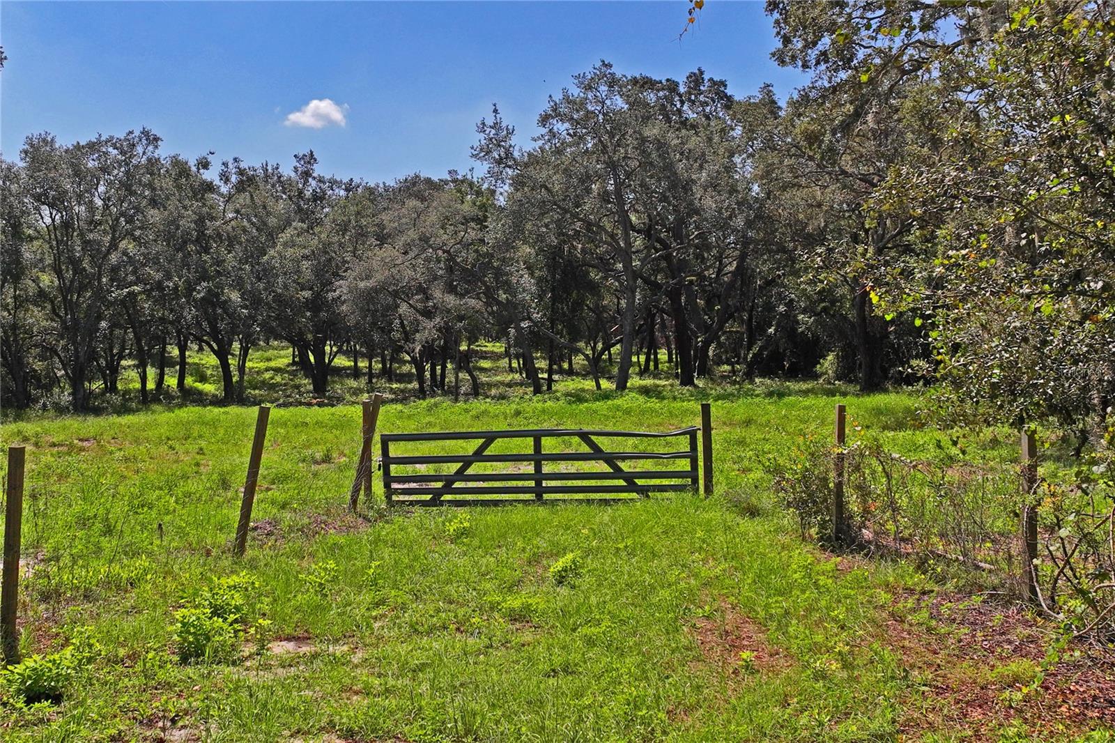 Image 4 of 11 For 16900 Akins Drive