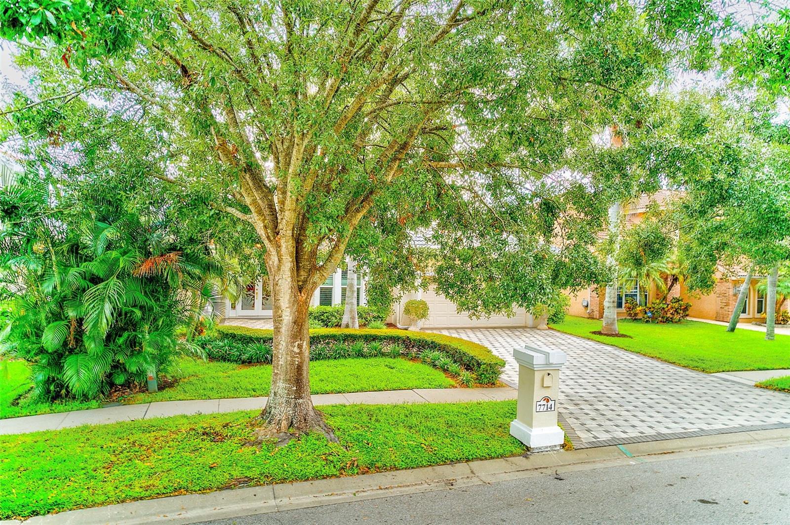 Image 59 of 82 For 7714 Aralia Way