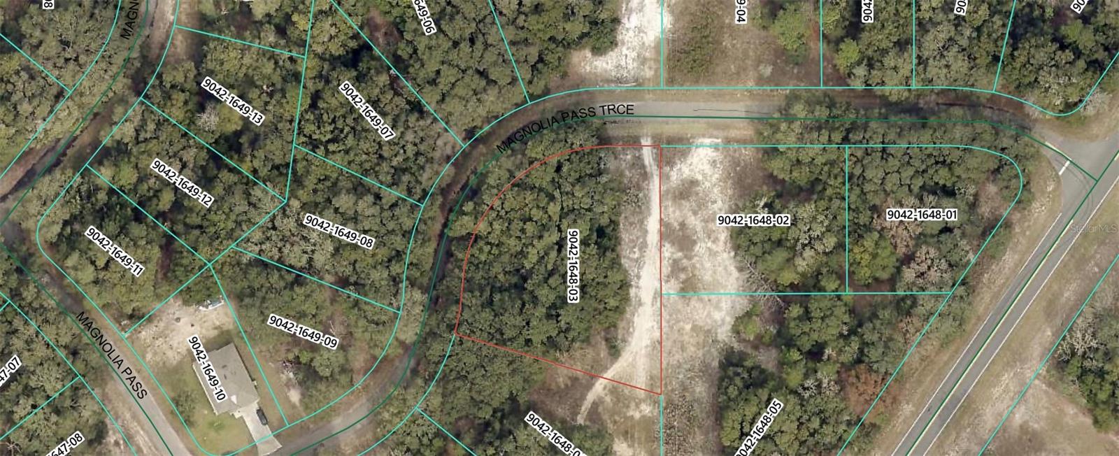 Details for Magnolia Pass Trace, OCKLAWAHA, FL 32179