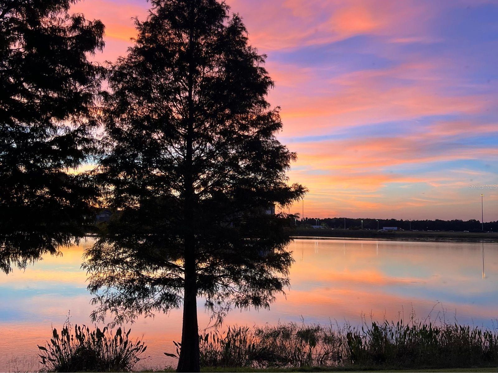 Image 41 of 44 For 4861 Wandering Way