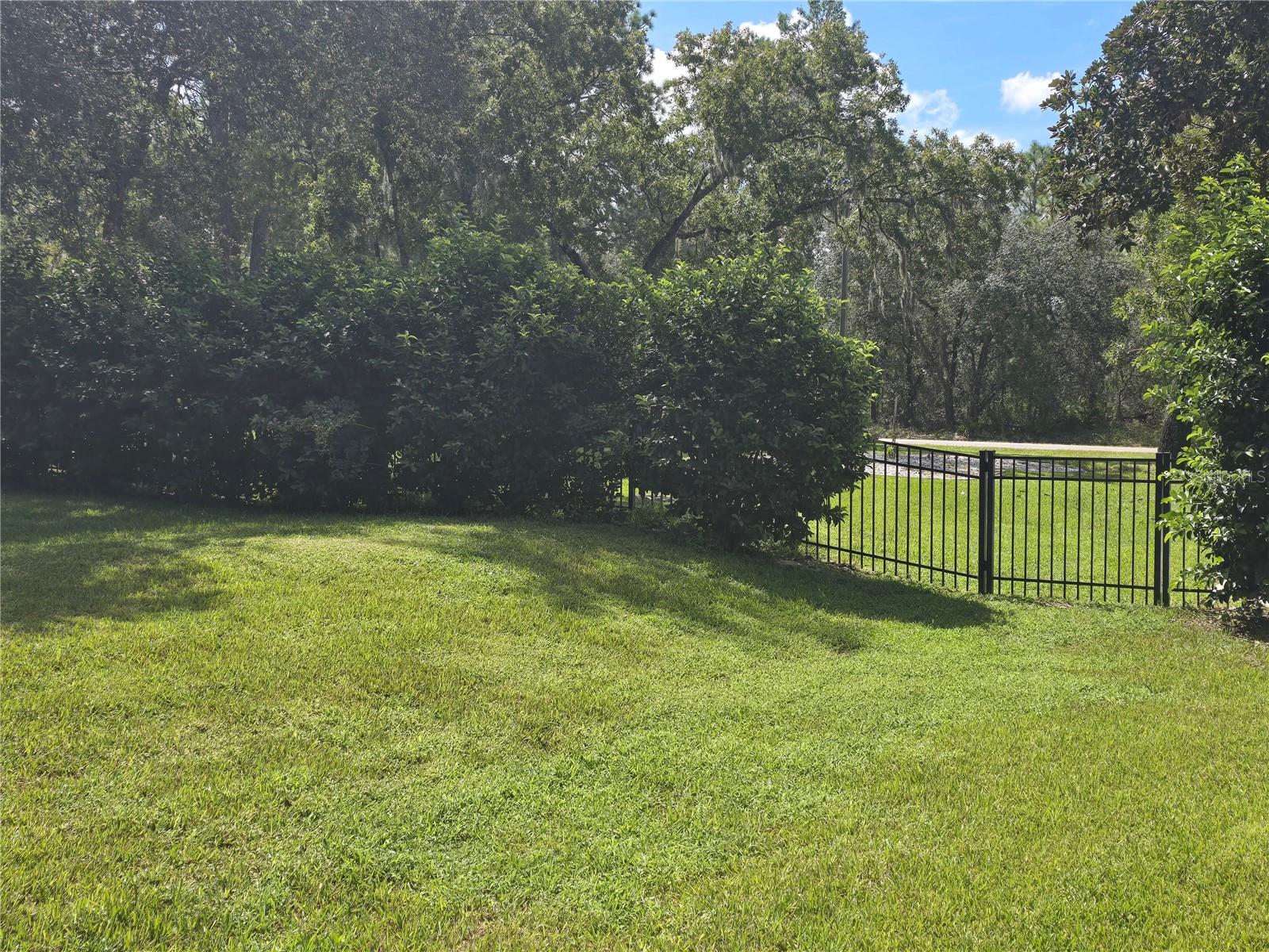 Image 10 of 56 For 10261 Woodland Waters Boulevard