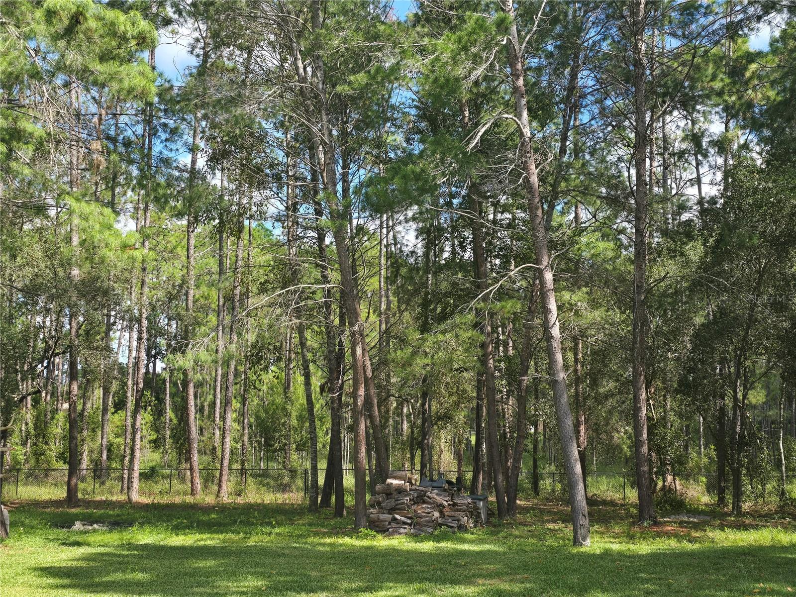 Image 11 of 56 For 10261 Woodland Waters Boulevard