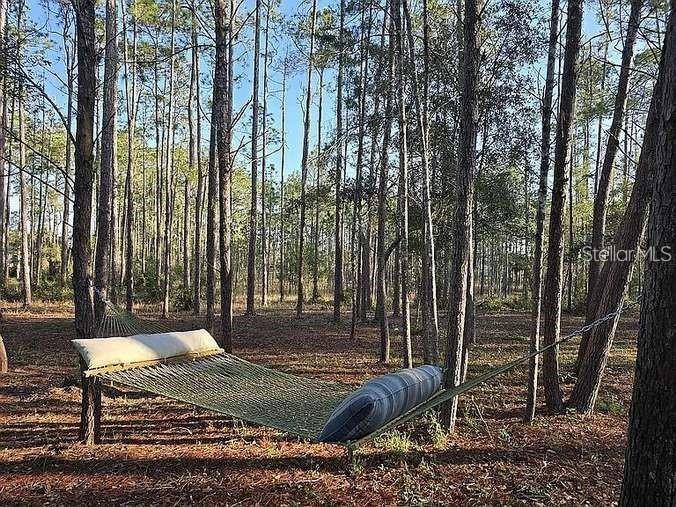 Image 6 of 56 For 10261 Woodland Waters Boulevard