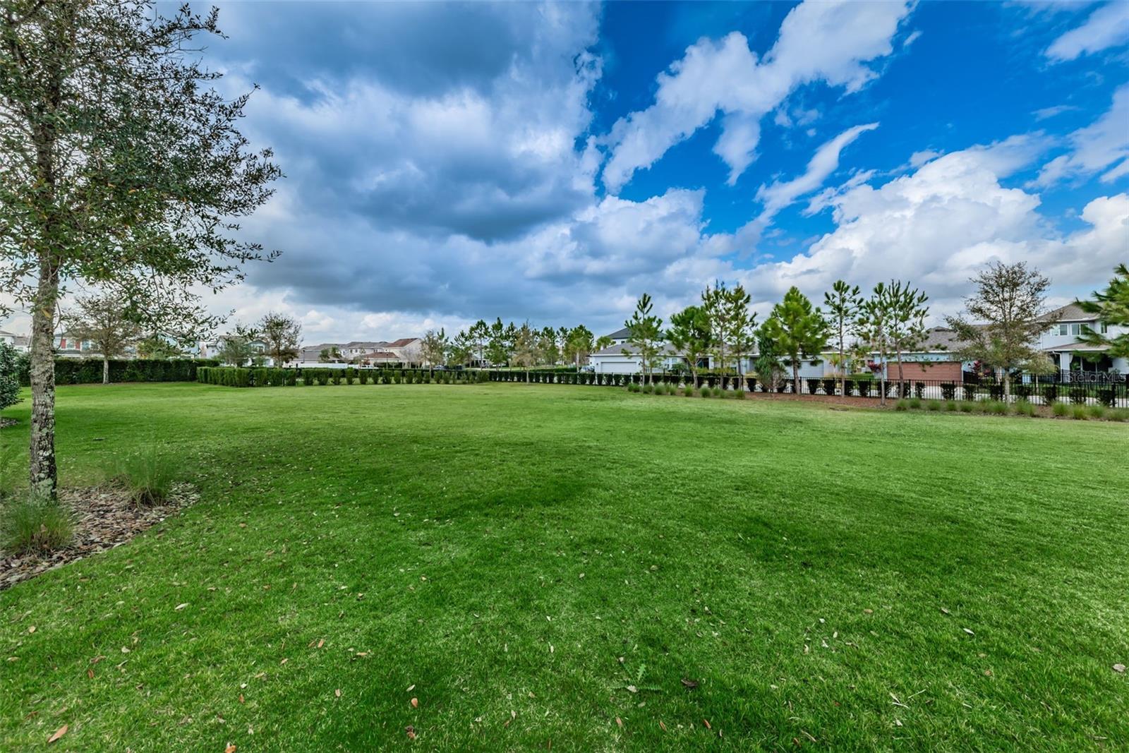 Image 62 of 82 For 2554 Claymore Street