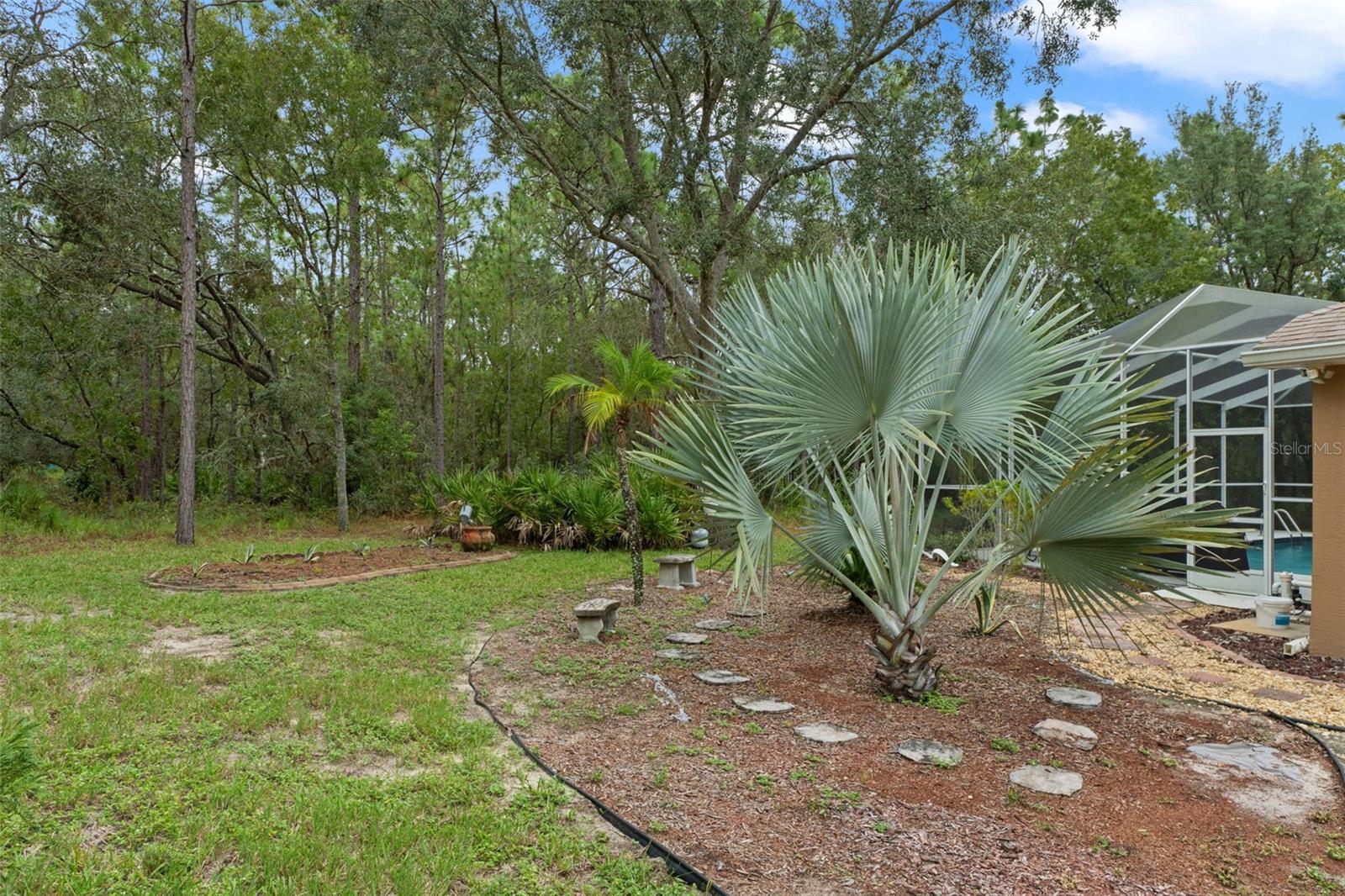 Image 30 of 36 For 6 Coconut Court