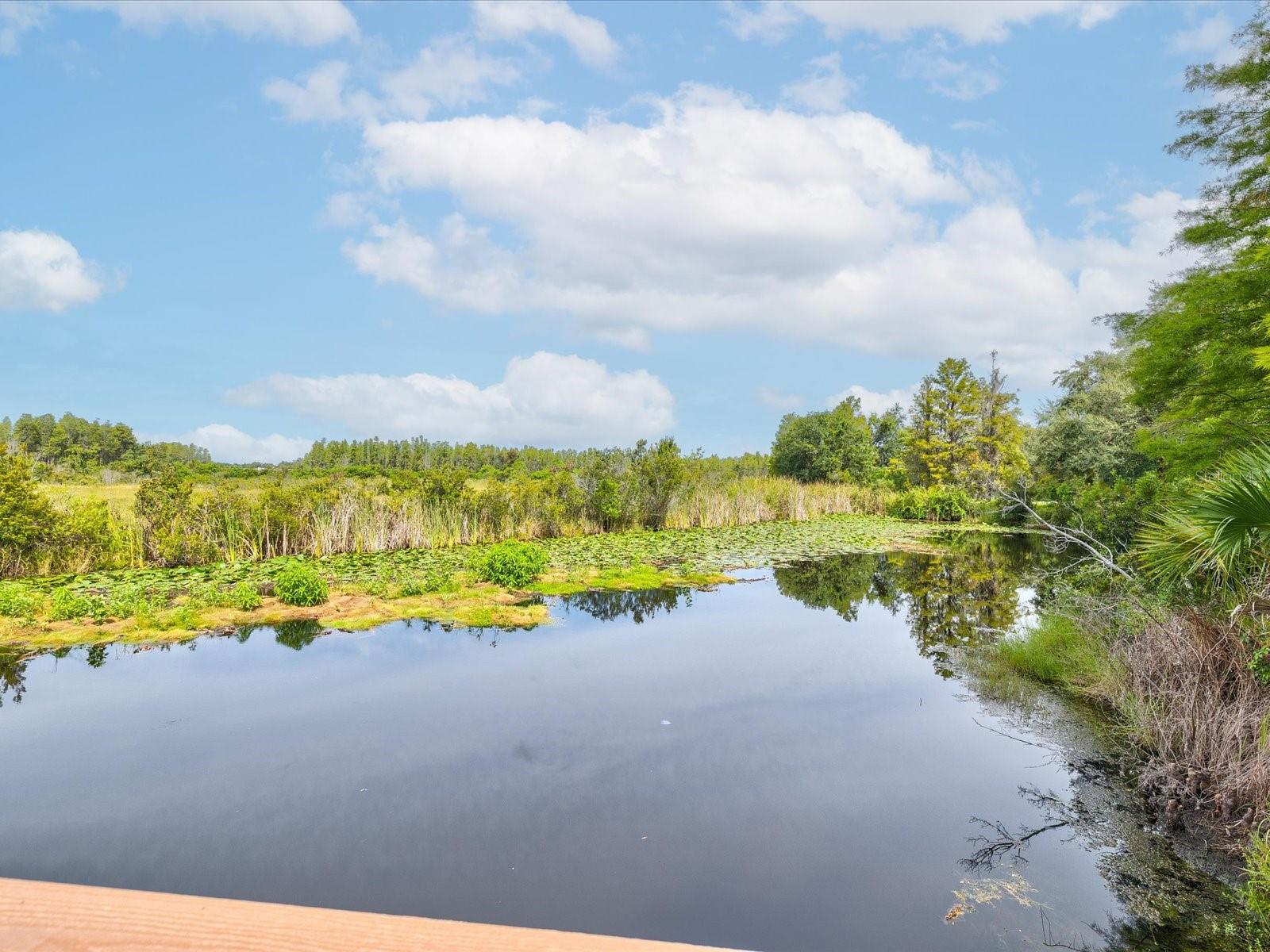 Image 91 of 96 For 7445 Trovita Road