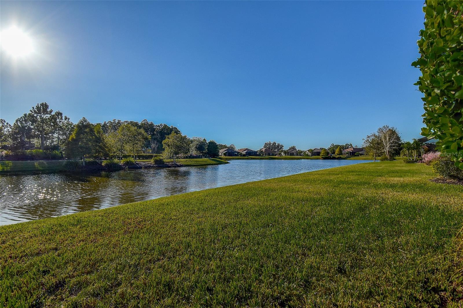 Image 44 of 49 For 11426 Juglans Drive