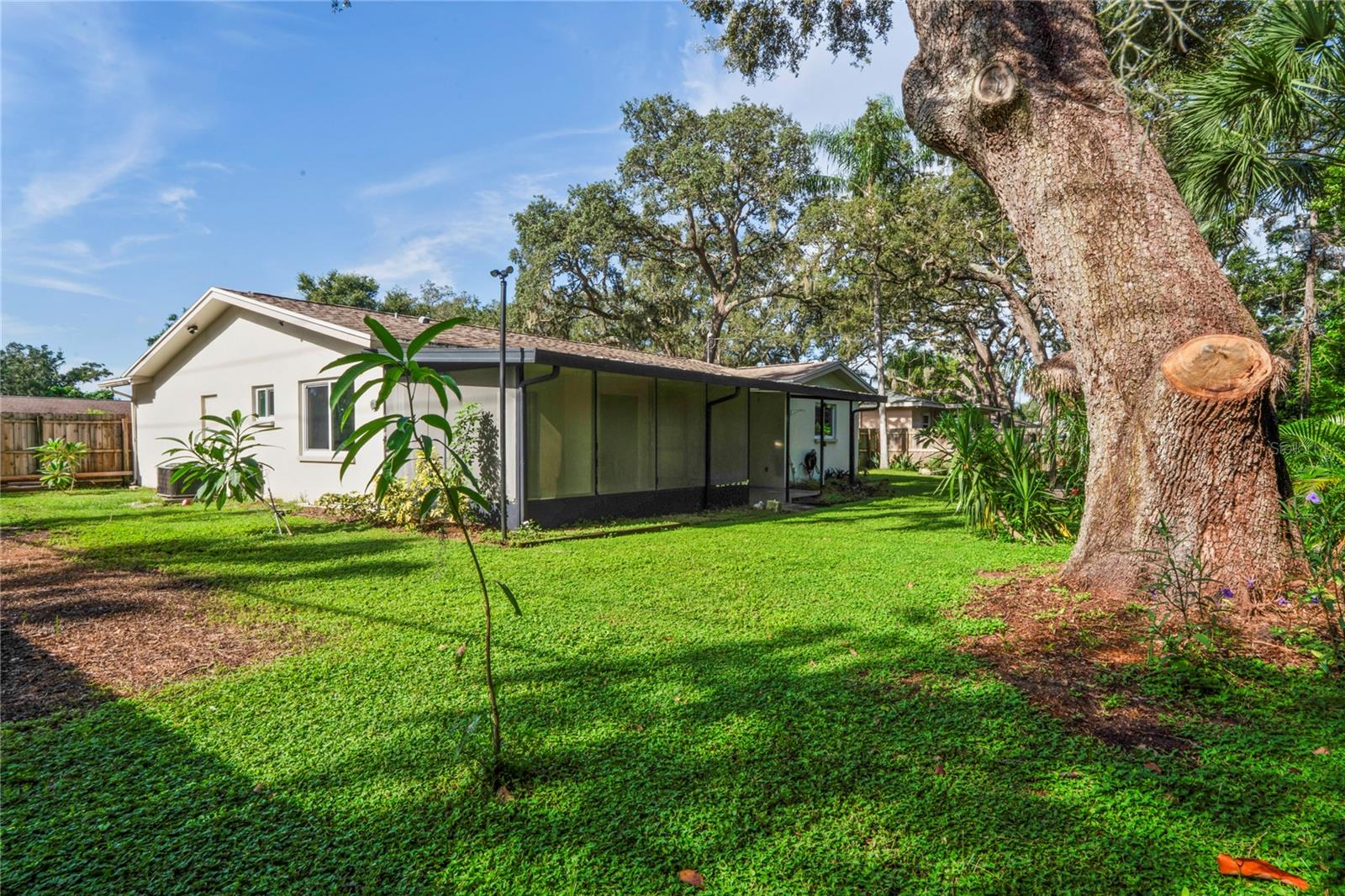 Image 39 of 55 For 1282 Palm Street