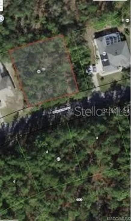 Details for 38 Fringetree Street, HOMOSASSA, FL 34446