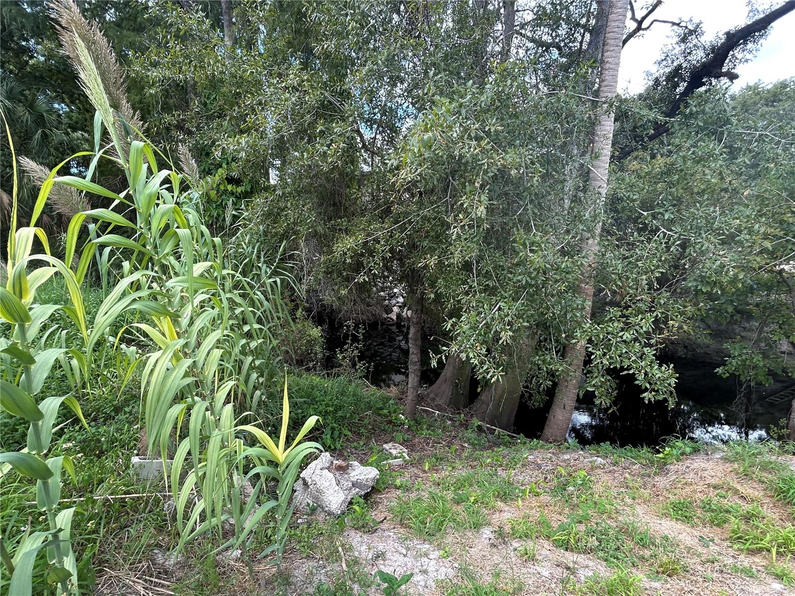 Listing photo id 1 for Lot 16 Riverrun Road