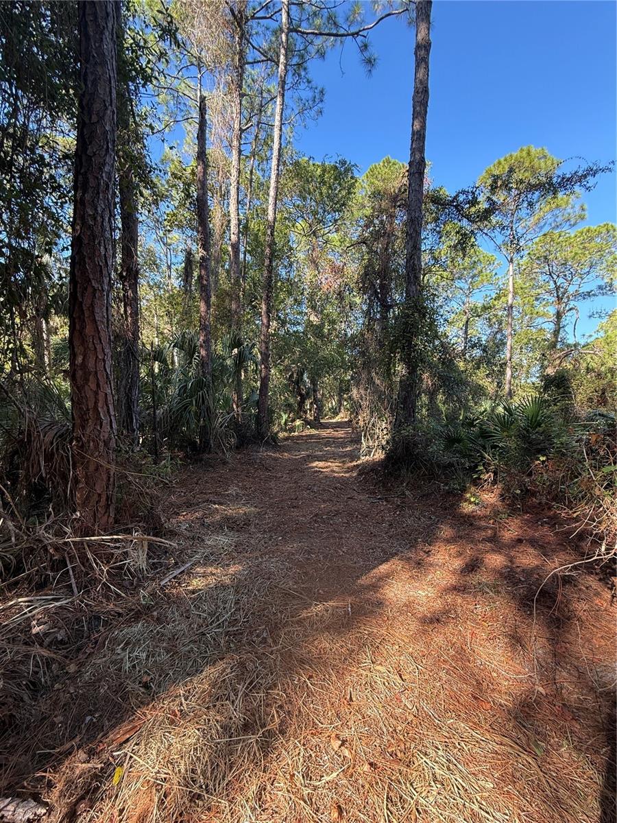 Image 3 of 14 For Shoal Line Boulevard