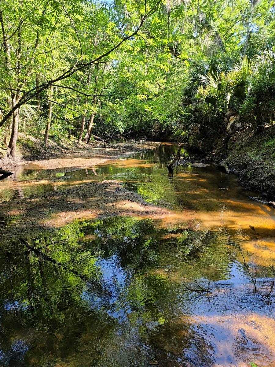 Image 49 of 53 For 120 Creek Crossing Road