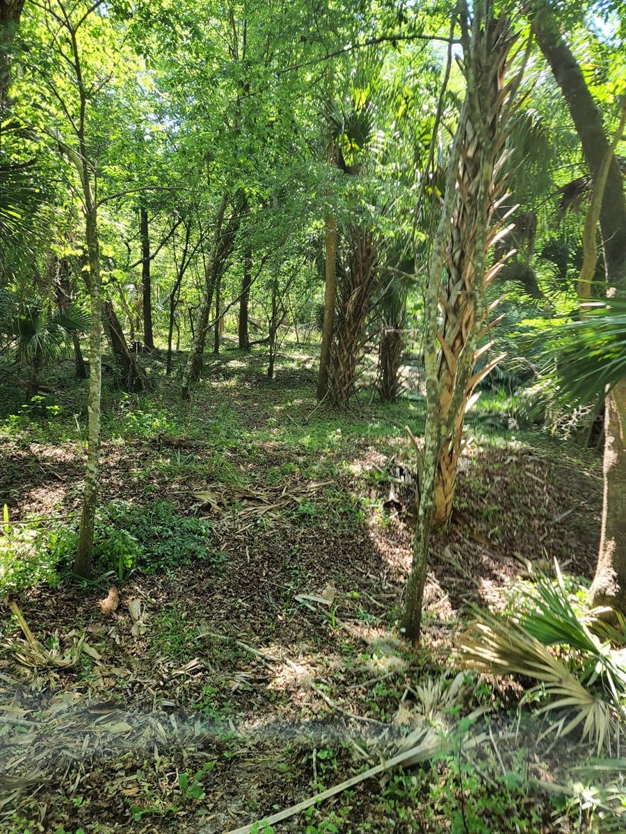 Image 50 of 53 For 120 Creek Crossing Road