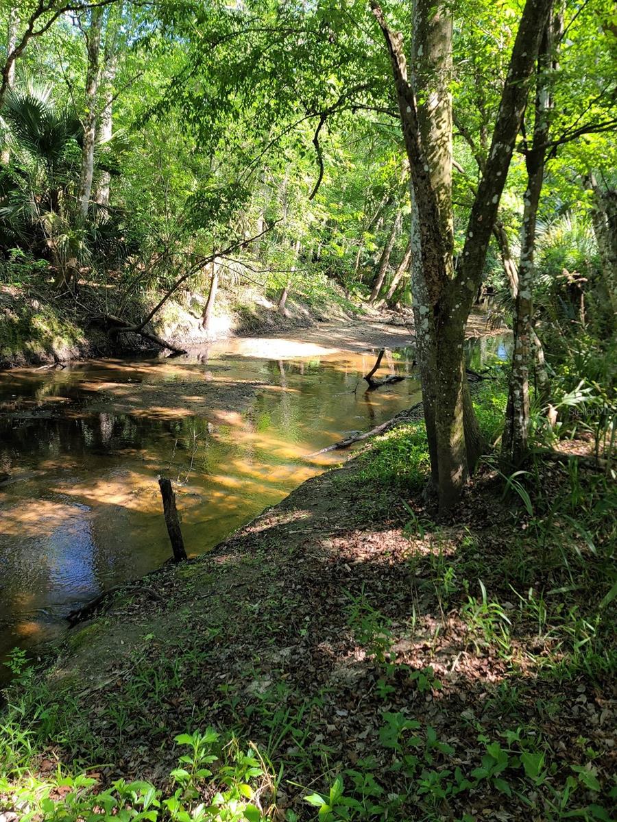 Image 51 of 53 For 120 Creek Crossing Road