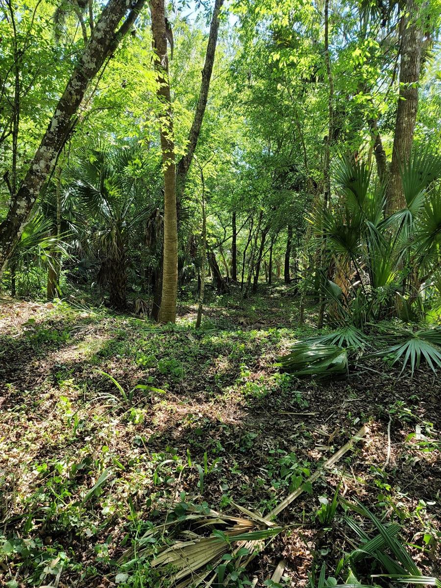 Image 52 of 53 For 120 Creek Crossing Road