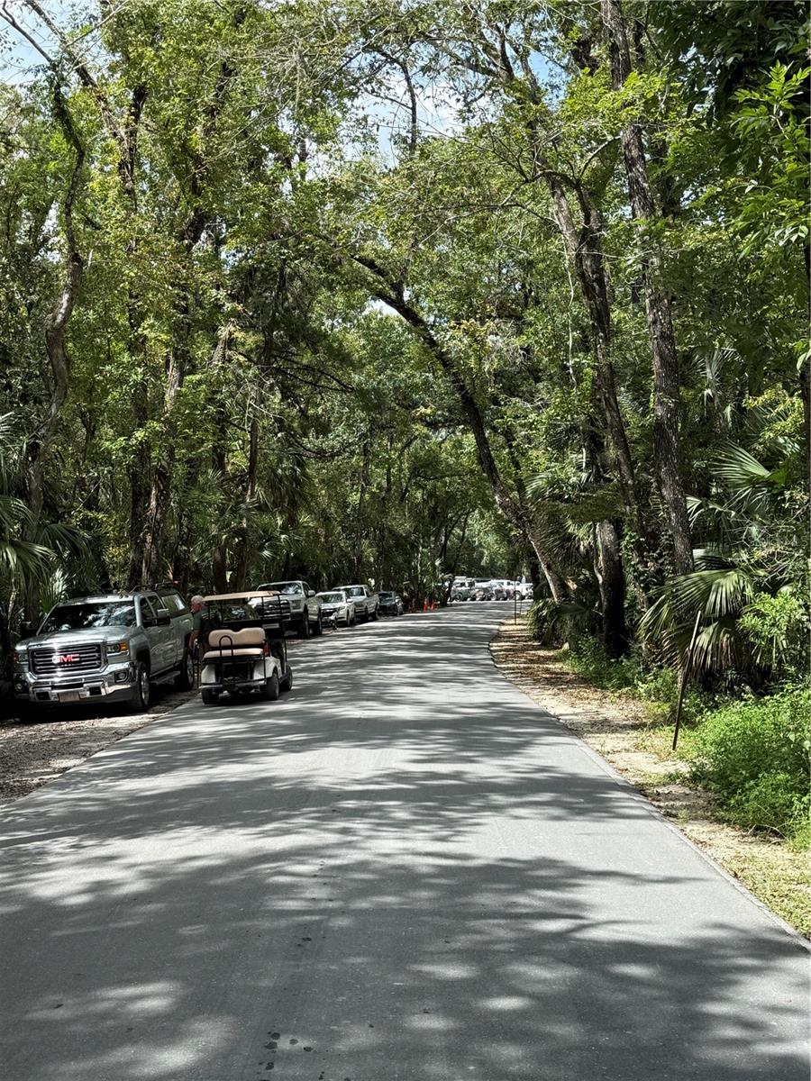 Listing photo id 31 for 9339 Milam Way