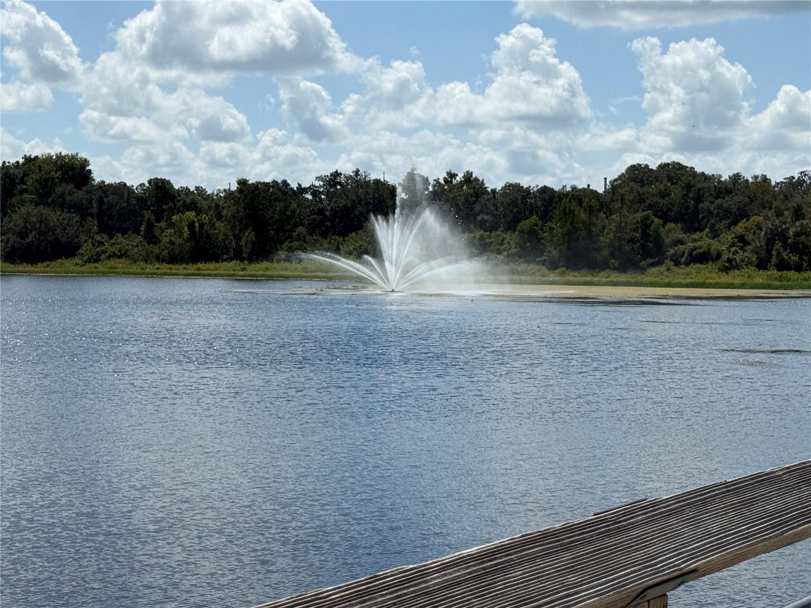 Listing photo id 4 for 9339 Milam Way