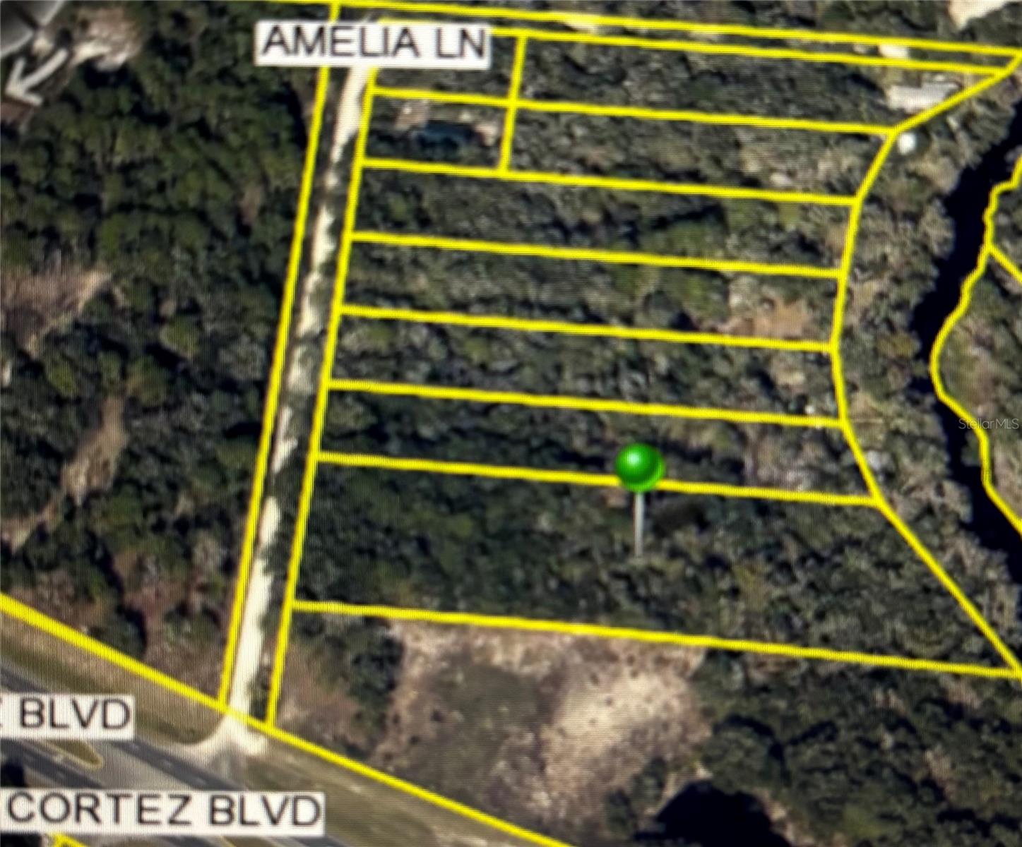 Image 6 of 6 For  Amelia Lane 