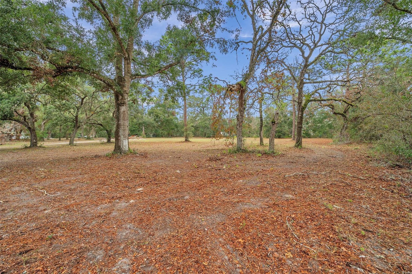 Image 3 of 6 For Deason Drive
