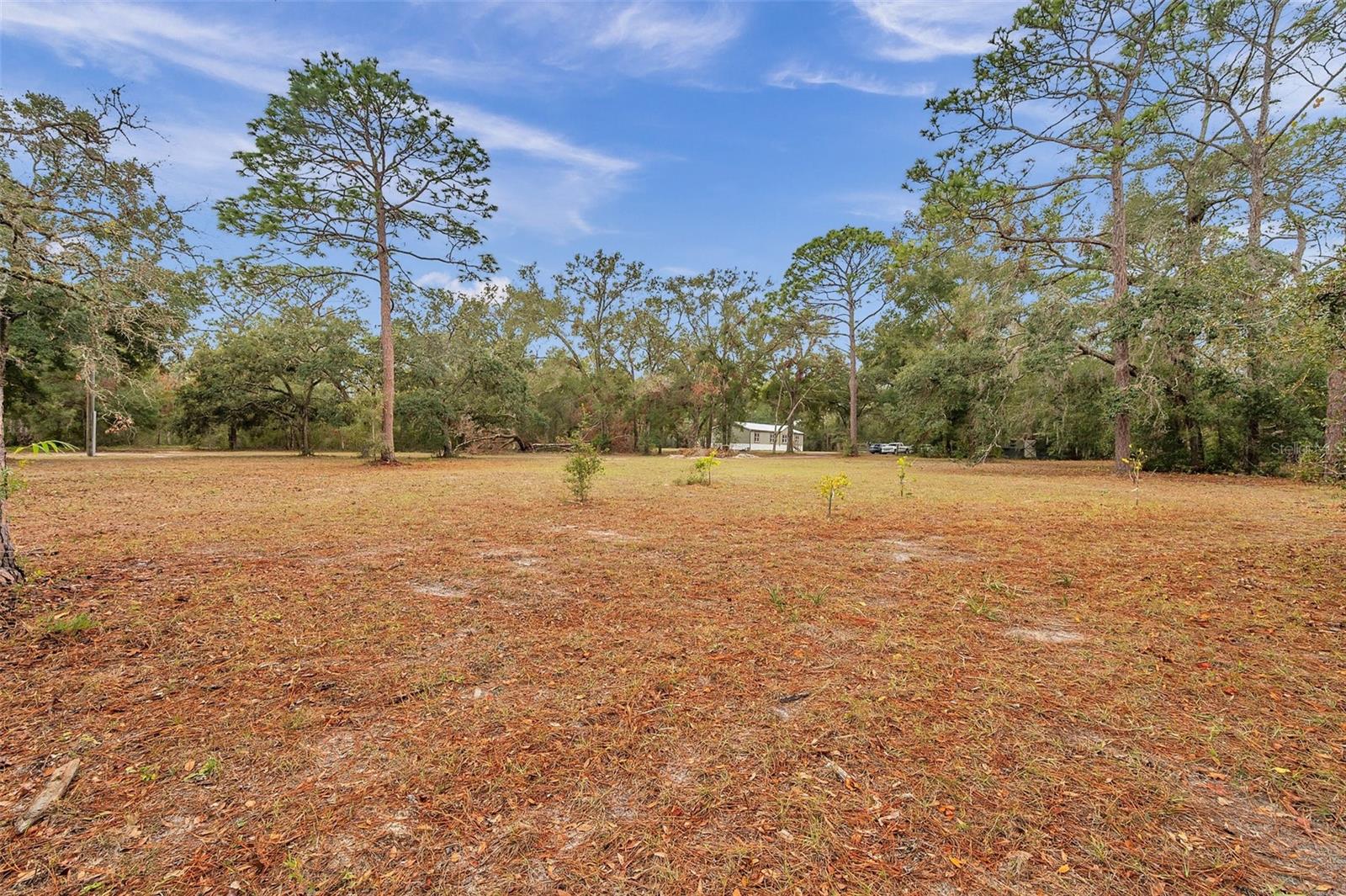 Image 4 of 6 For Deason Drive