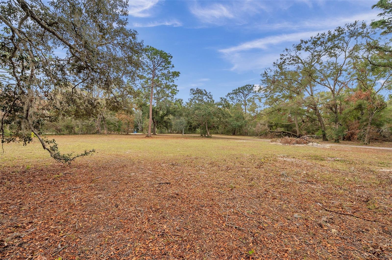 Image 5 of 6 For Deason Drive