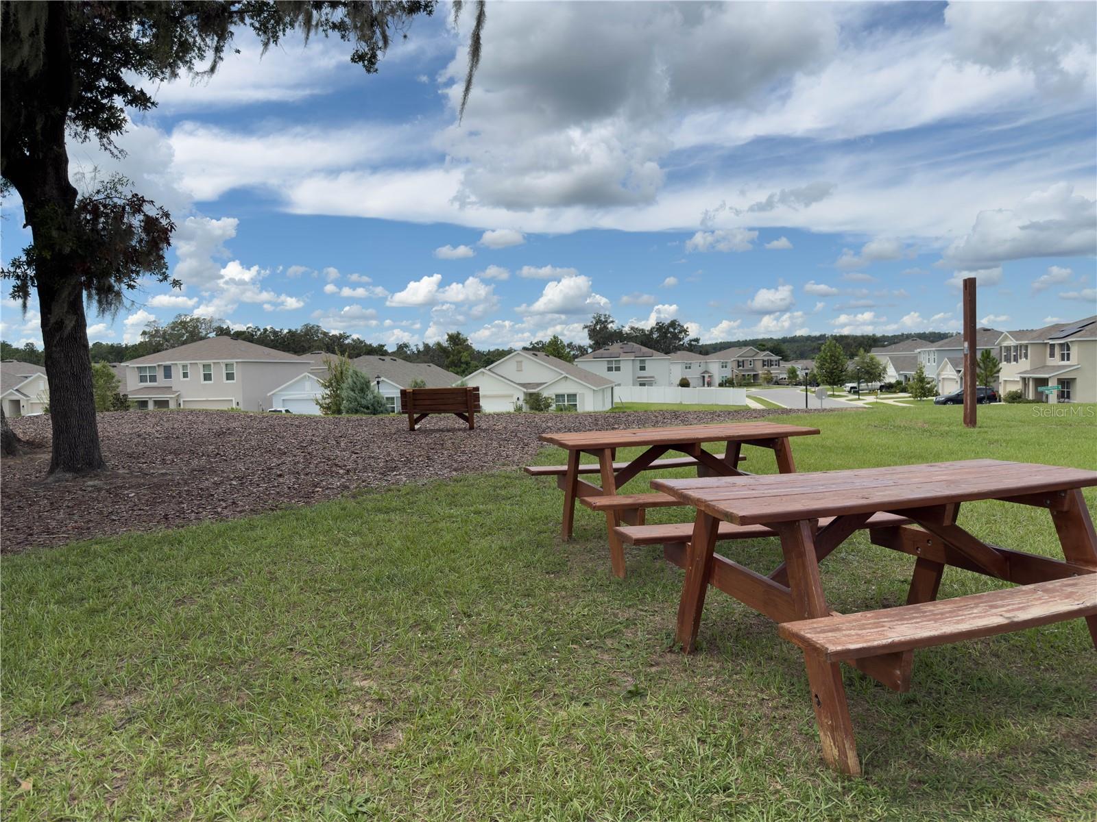 Image 53 of 54 For 14069 Wineberry Drive