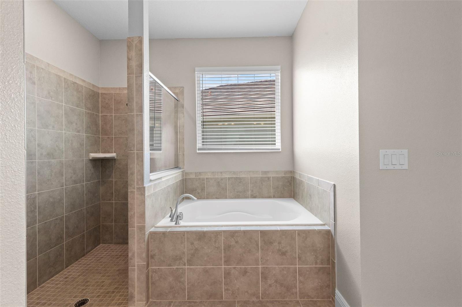 Image 43 of 64 For 11933 Cinnamon Fern Drive
