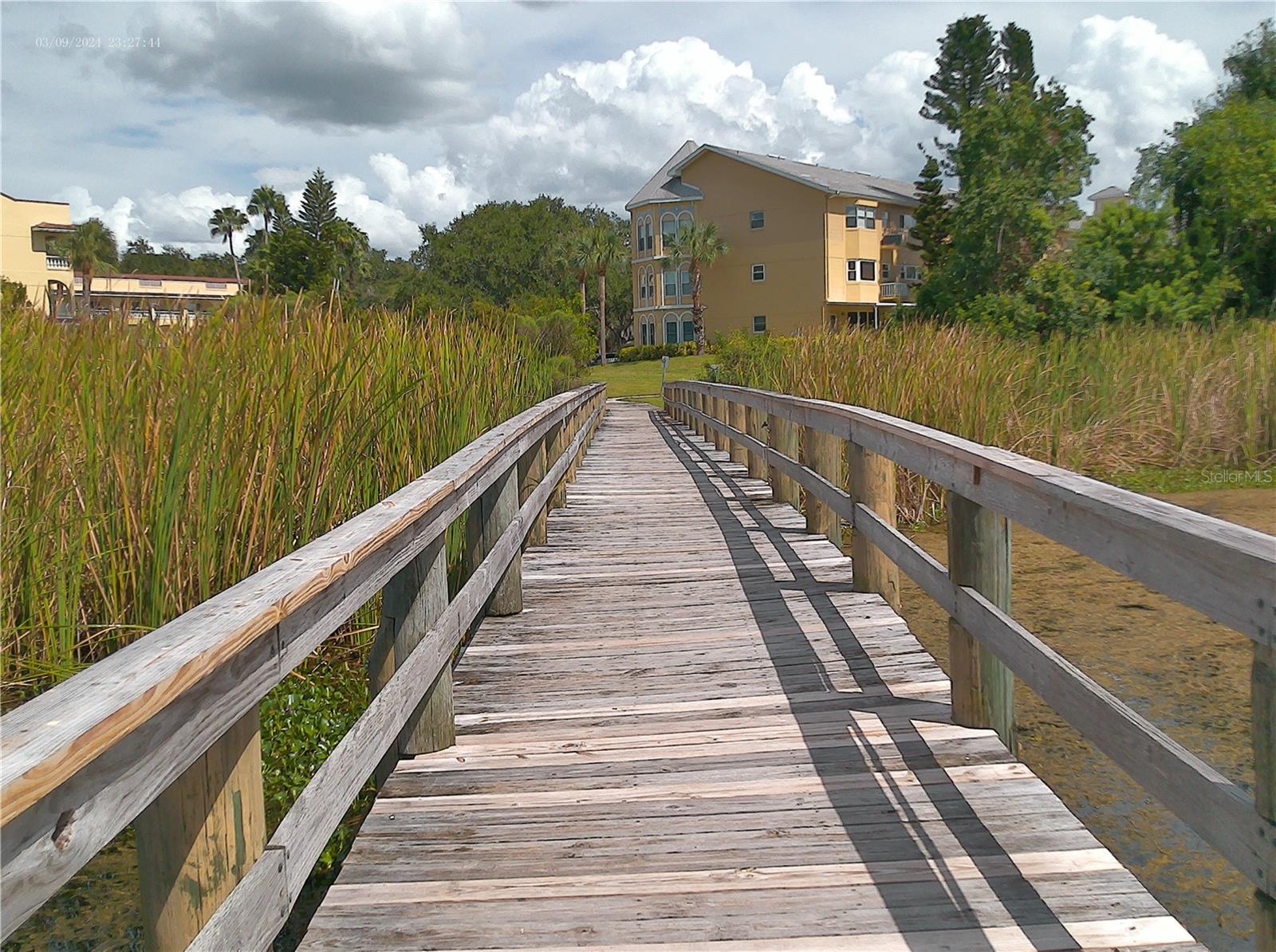 Image 84 of 84 For 2263 Americus Boulevard E 59