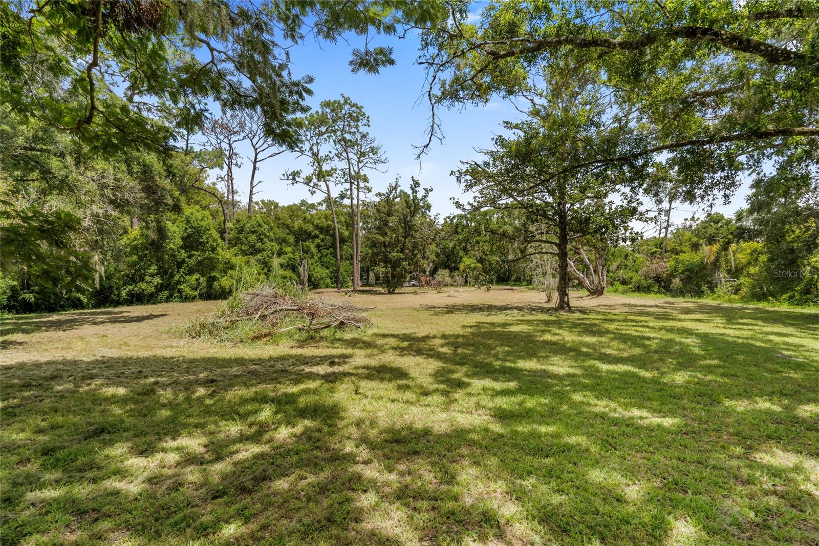 Image 47 of 79 For 20125 Green Grass Lane