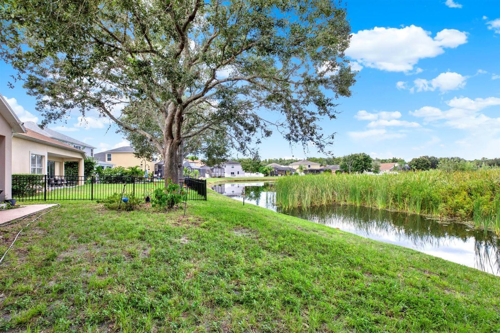 Image 42 of 64 For 10435 Deerberry Drive