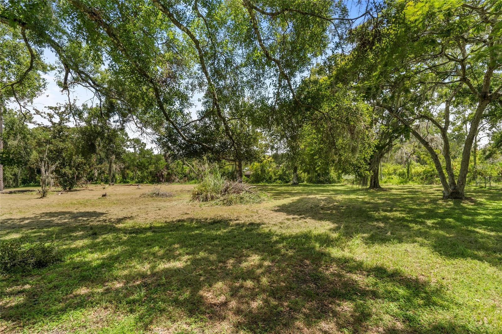 Image 46 of 79 For 20105 Green Grass Lane