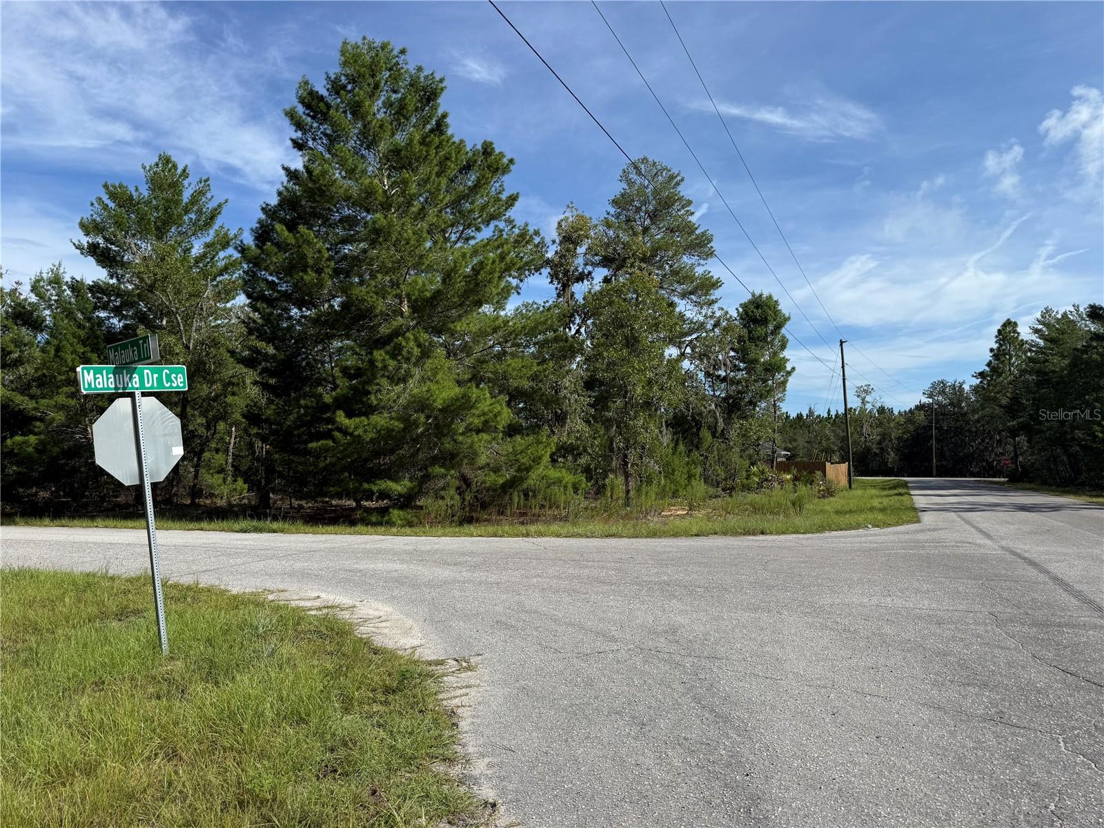 Details for Malauka Trail, OCKLAWAHA, FL 32179