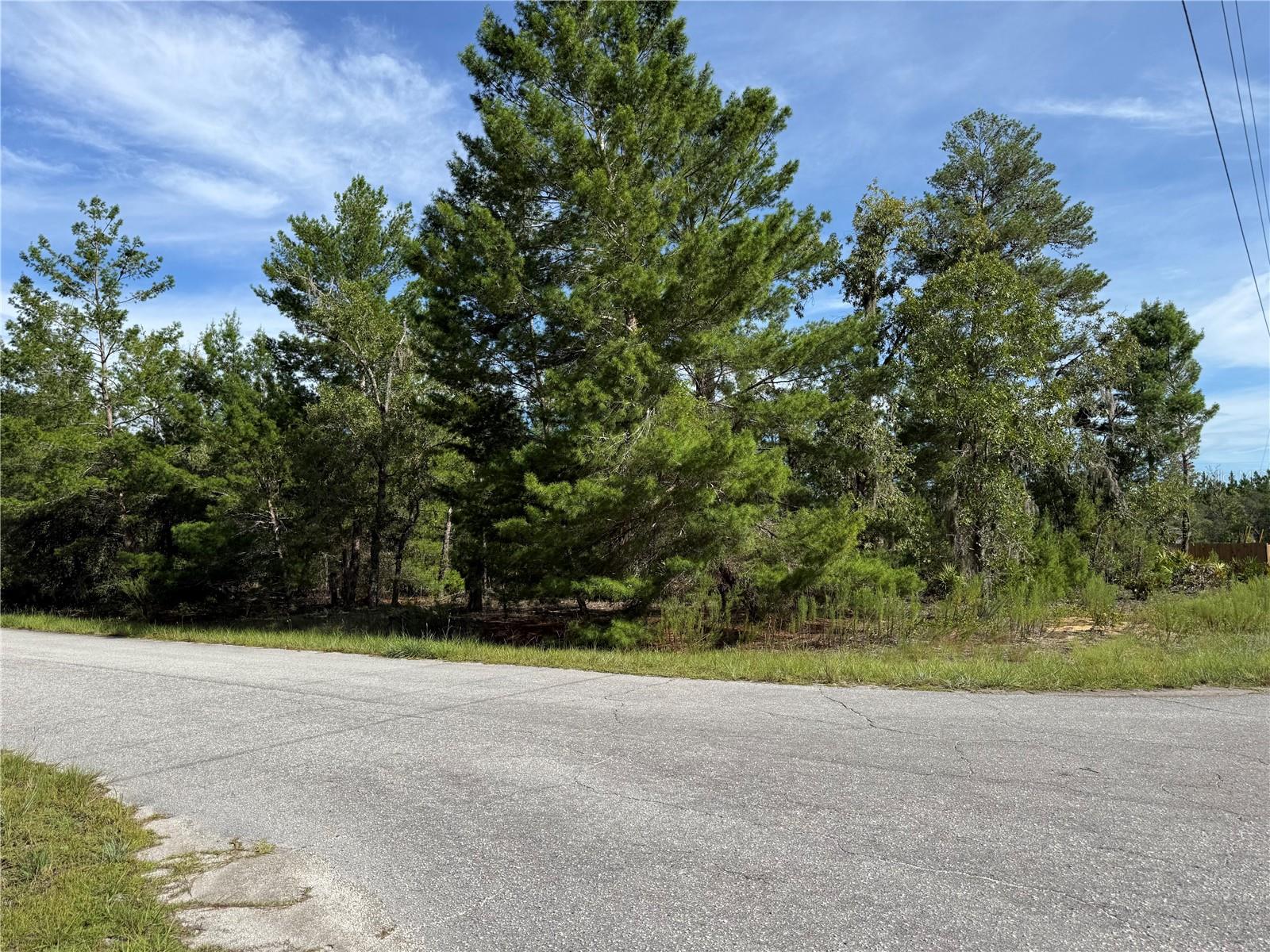 Image 2 of 3 For Malauka Trail