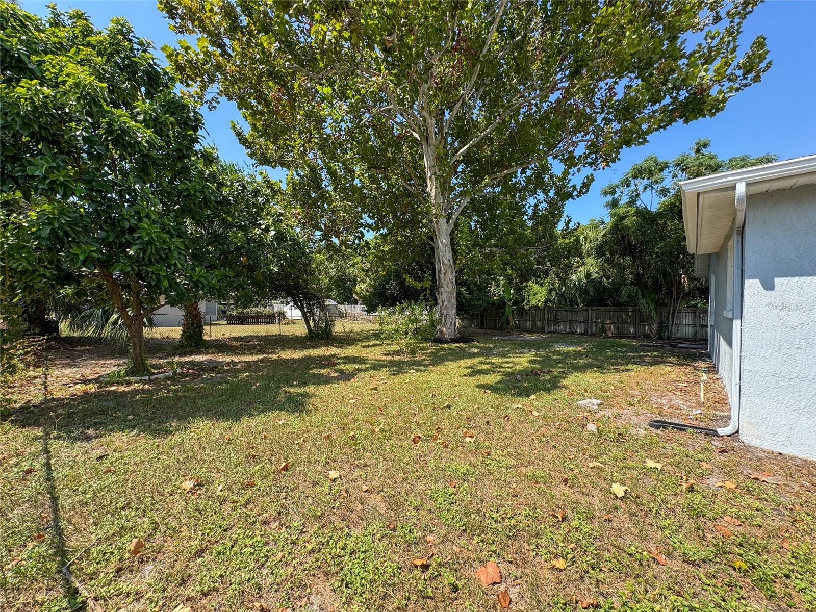 Image 29 of 32 For 8927 Roble Way