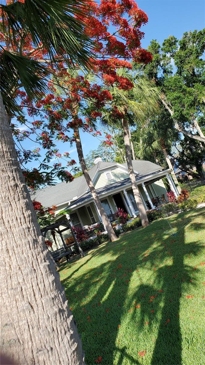 Image 45 of 53 For 184 Spring Boulevard