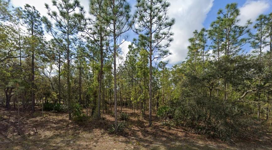 Image 2 of 5 For 11464 Chickadee Road