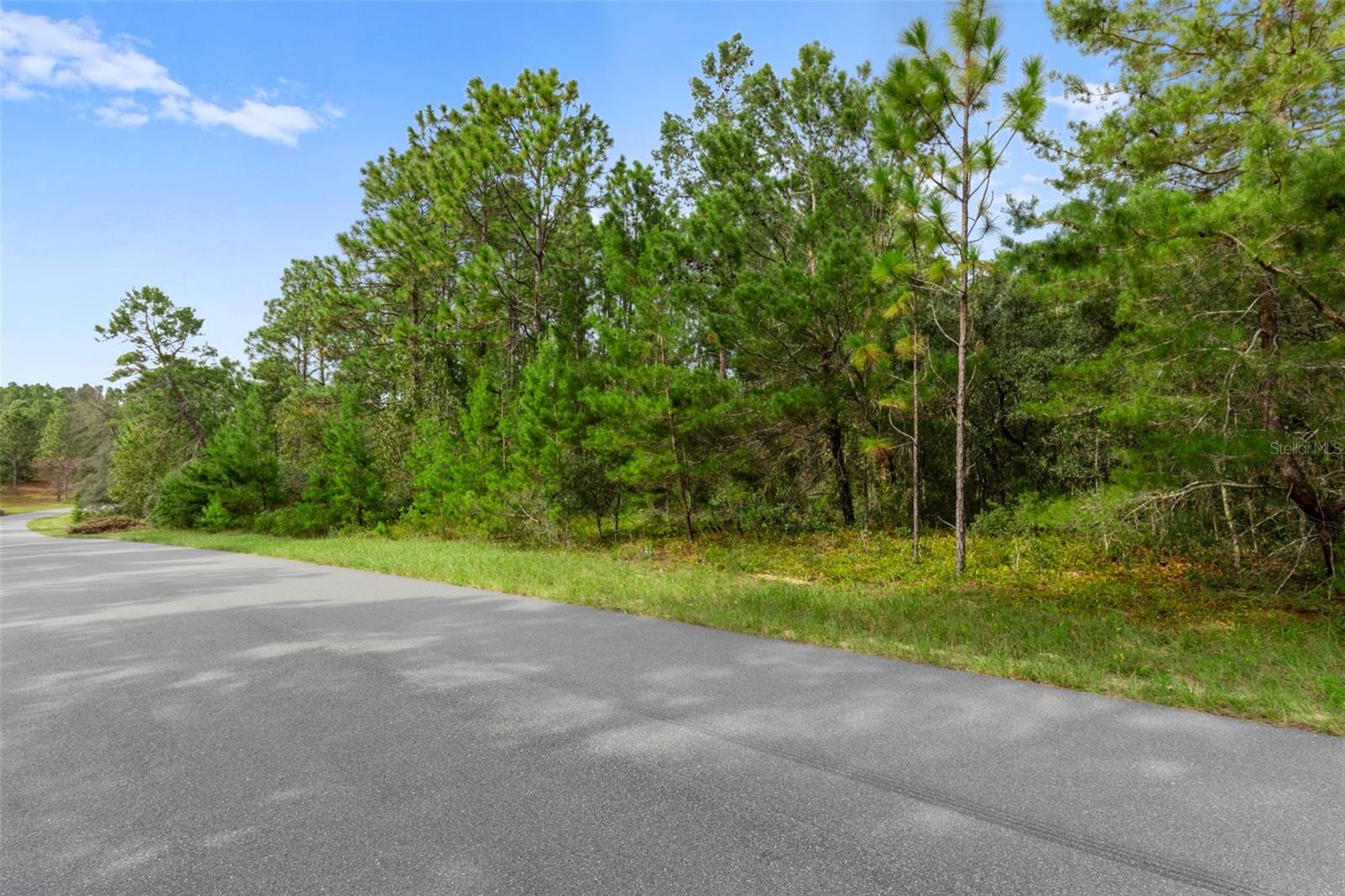 Details for 4099 Malaluka Circle, CITRUS SPRINGS, FL 34433