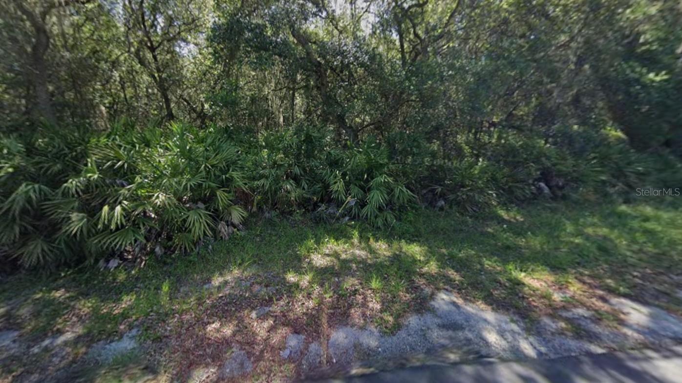Listing photo id 1 for 849 Horse Prairie Road